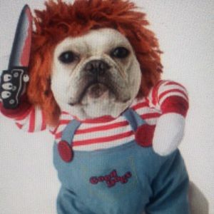 Pet Halloween costume